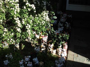 IMG_4805_R