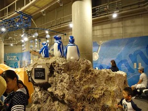 DSC05591_R