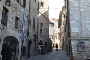 IMG_7391