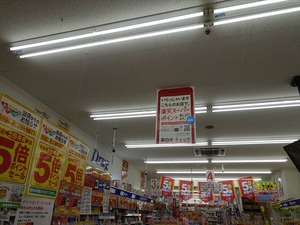 DSC01309_R