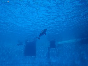 DSC03474_R