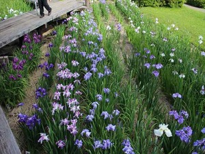 IMG_7102_R