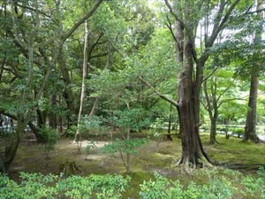 DSC07428_R