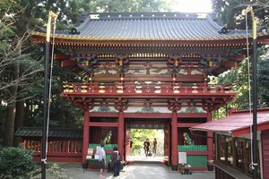 IMG_8115