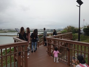 DSC03452_R