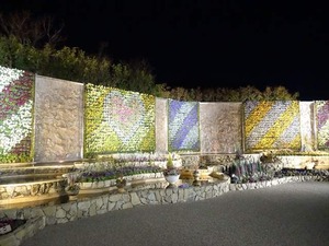 DSC02611_R