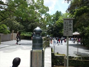 DSC07431_R