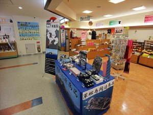 IMG_4237_R