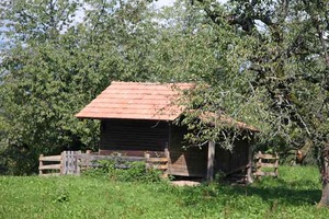 IMG_5594