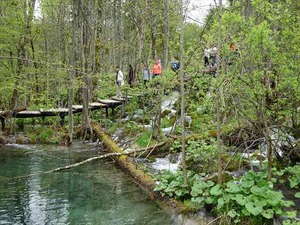 DSC00725_R