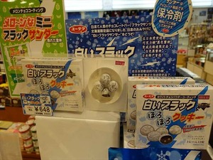 DSC07159_R