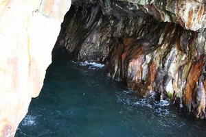 IMG_1131