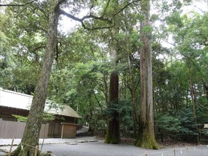 DSC07452_R
