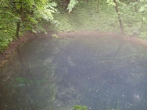 DSC06129_R