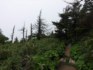 DSC06453_R