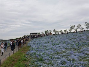 DSC00130_R