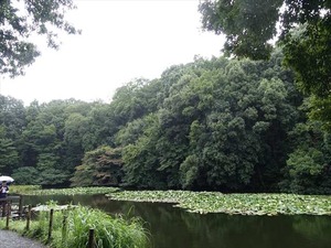 DSC02439_R
