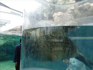 DSC08053_R