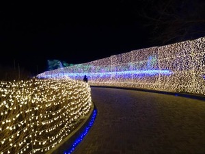 DSC01926_R