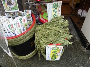 DSC01030_R