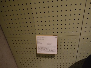 DSC03989_R
