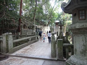 DSC01429_R