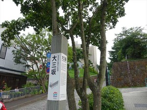 DSC00393_R