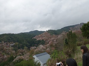 DSC08947_R