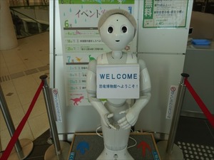 DSC05161_R
