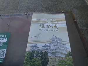 DSC01193_R