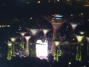 DSC09498_R