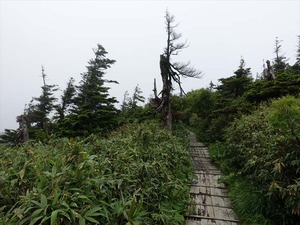 DSC06459_R