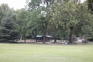 IMG_9433