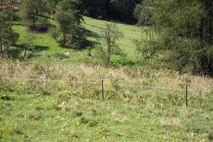IMG_5591
