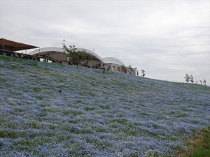 DSC00152_R