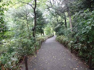 DSC02444_R