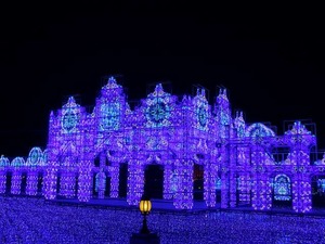 DSC02595_R