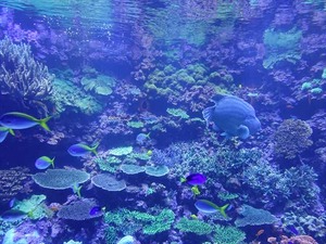 DSC05599_R