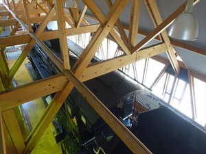 DSC05341_R