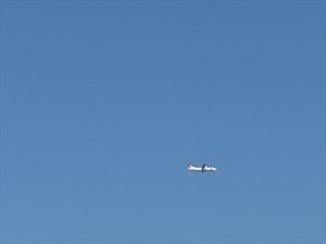 DSC07376_R