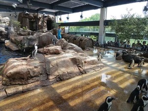 DSC07803_R