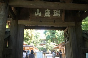 IMG_6382