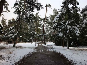IMG_2692_R