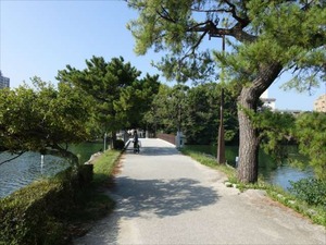 DSC00054_R