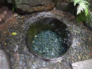 DSC02456_R