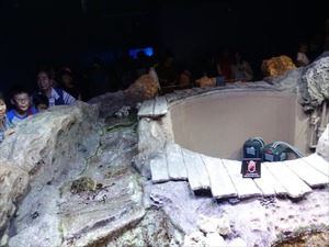 DSC07807_R