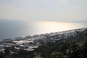 IMG_8060