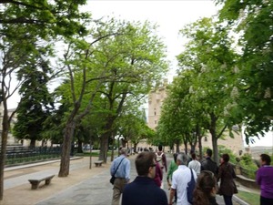 DSC04253_R
