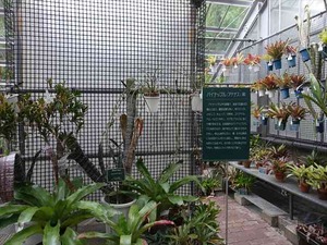 DSC09420_R