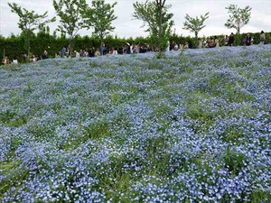 DSC00120_R